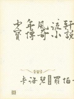 少年风流轩辕大宝传奇小说