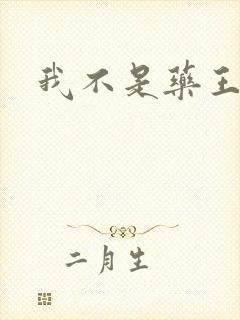 我不是药王封面