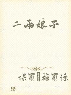 二两娘子封面
