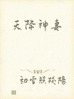 天降神妻