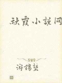 秋霞小说网封面