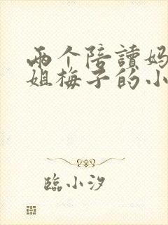 两个陪读妈妈赵姐梅子的小说