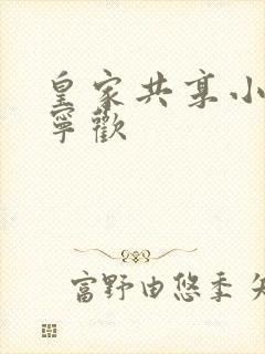 皇家共享小公主宁欢封面