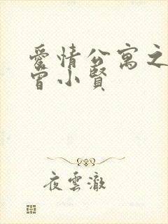 爱情公寓之极品曾小贤