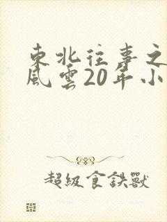 东北往事之黑道风云20年小说