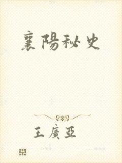 襄阳秘史