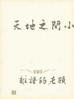 天地之间小说