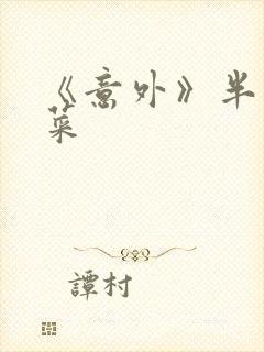 《意外》半截白菜封面