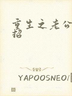 重生之老公请接招封面