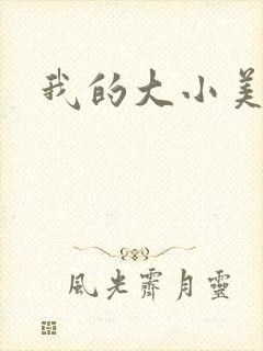 我的大小美女花封面