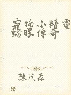 宠物小精灵之写轮眼传奇封面
