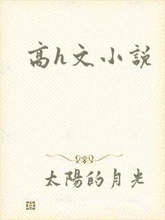 高h文小说