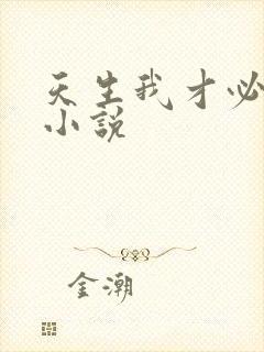 天生我才必有用小说
