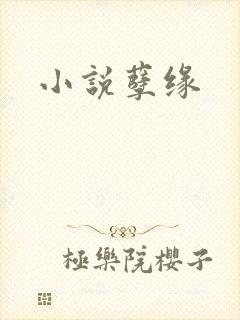 小说孽缘