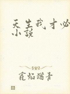 天生我才必有用小说