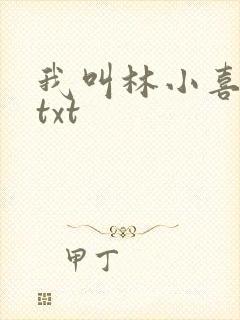我叫林小喜小说txt