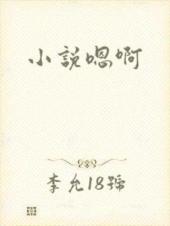 小说嗯啊