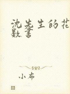 沈先生的花式调数书