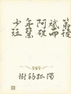 少年阿斌第二部珏慧破而后立