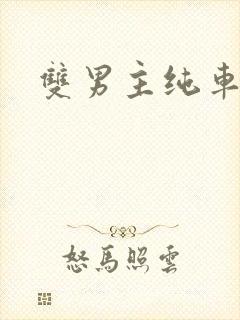 双男主纯车骨科