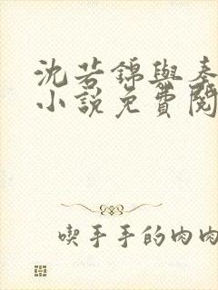 沈若锦与秦琅的小说免费阅读