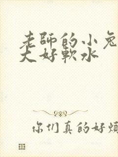 老师的小兔子好大好软水