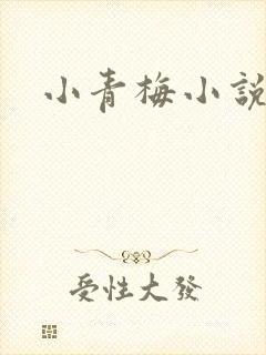 小青梅小说