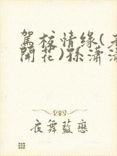 驾校情缘(老树开花)孙潇潇笔趣阁封面