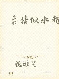 柔情似水赵雅儿封面