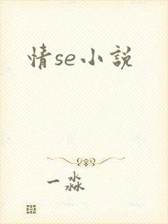 情se小说