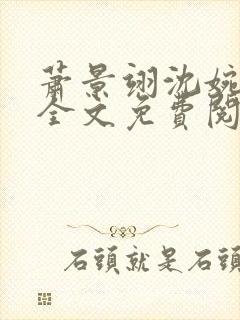 萧景翊沈婉小说全文免费阅读