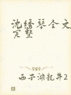 沈绣琴全文阅读完整