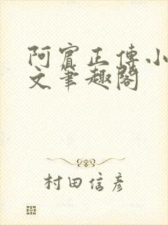 阿宾正传小说全文笔趣阁