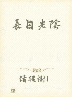 长日光阴
