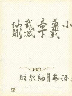 仙武帝尊小说无删减下载