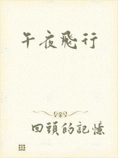 午夜飞行封面
