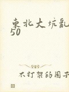 东北大坑乱1—50