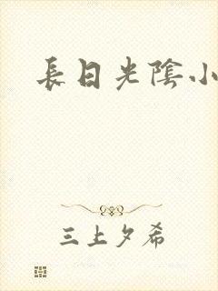 长日光阴小说