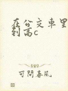 在公交车里c弄到高c