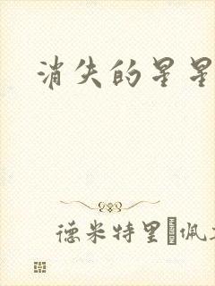 消失的星星封面
