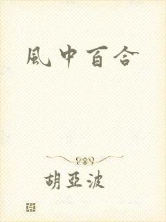 风中百合封面