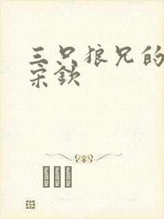 三只狼兄的宠妻宋钦