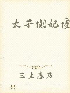 太子侧妃傻乎乎