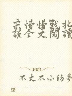 宋惜惜战北望小说全文阅读