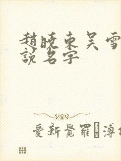 赵晓东吴雪晴小说名字封面