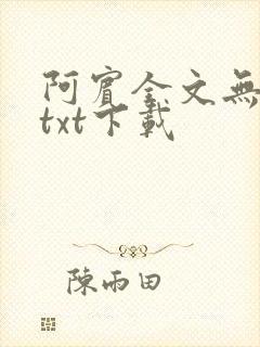 阿宾全文无删减txt下载