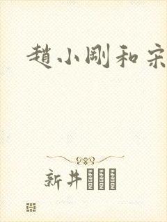 赵小刚和宋雨晴