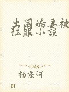 出国娇妻被黑人征服小说封面