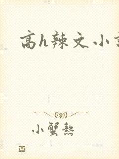 高h辣文小说封面