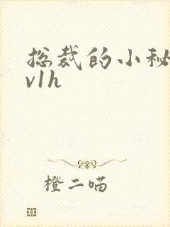 总裁的小秘书1v1h